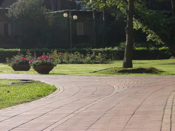 vittorino_andreoli_026