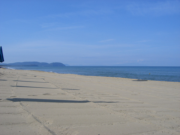 vittorino_andreoli_036