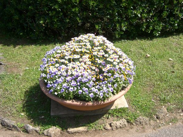 vittorino_andreoli_125