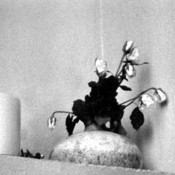 La filosofia di ASIA