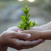 ASIA Educazione: il nostro manifesto