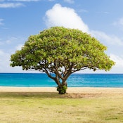 Ginnastica posturale